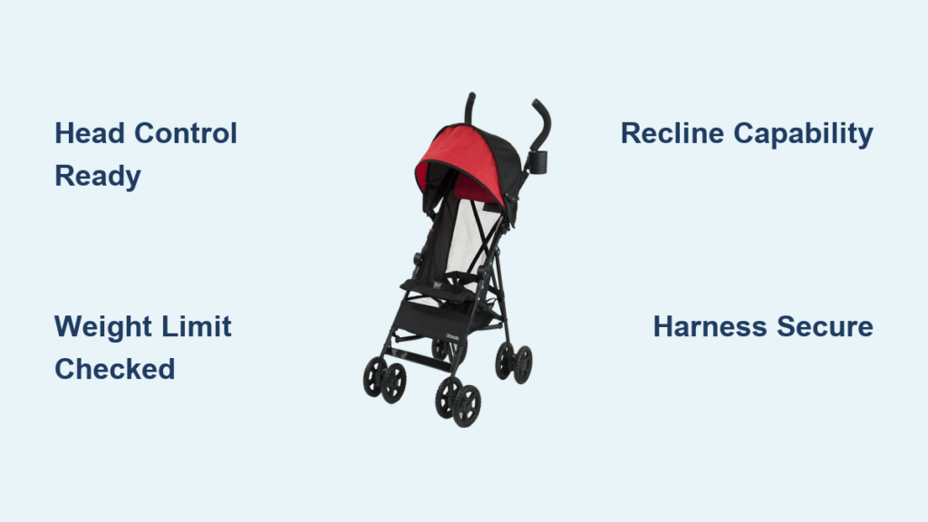 Umbrella Stroller Age Guide: When to Start